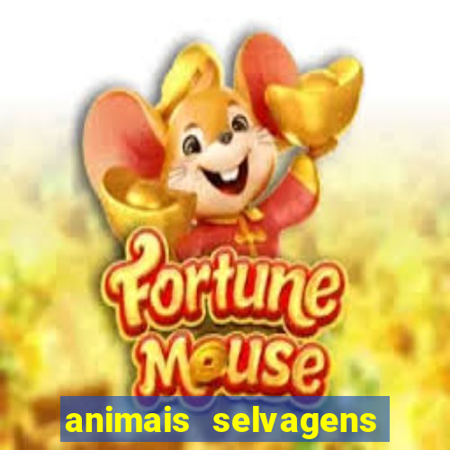 animais selvagens fotos e nomes